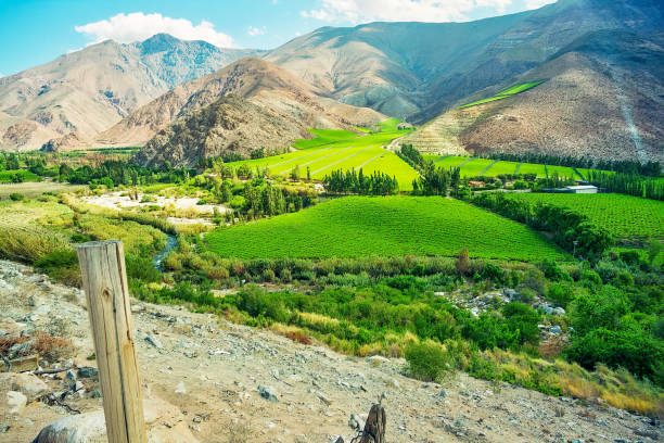 Valle del Elqui — imagen 2