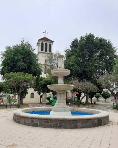 Limache — imagen 2