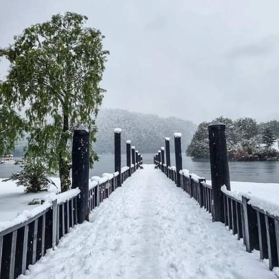 Villarrica, Pucón, Huilo Huilo y Puerto Fuy — imagen 8