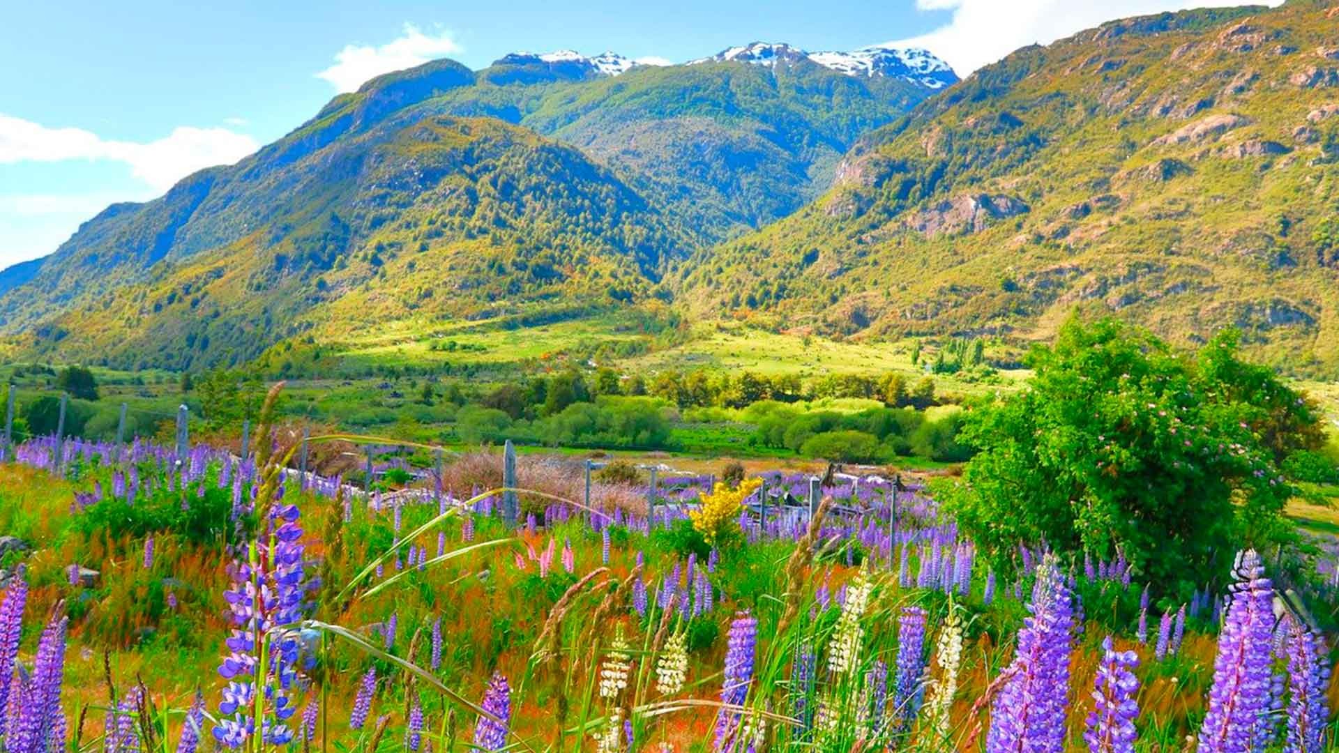 Carretera Austral / Coyhaique — imagen 9