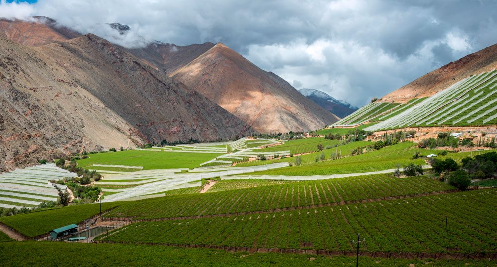 Valle del Elqui — imagen 1