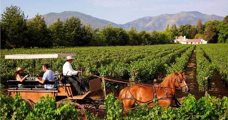 Colchagua — imagen 1